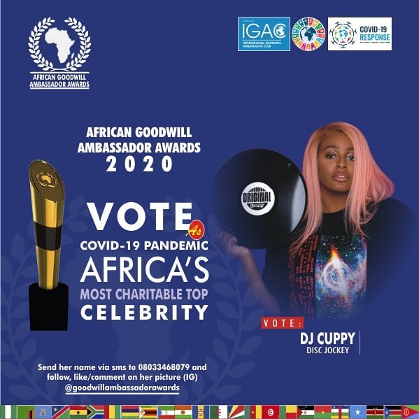 Africa Goodwill Ambassador Awards 2020 - Meet Your Nominees