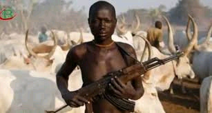 Tears Sorrow and Blood - How Fulani Herdsmen Allegedly Ogun State Communities To Slaughter Fields