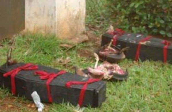 3 Yahoo Boys Caught While Trying to Sacrifice A Young Girl For Money Ritual In Edo