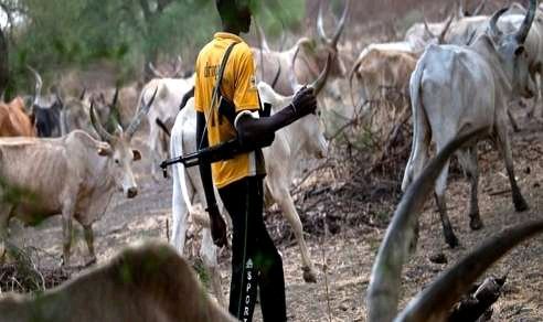WARNING To Major Ogun Towns! Armed Herdsmen Are Planning Attacks – Monarch
