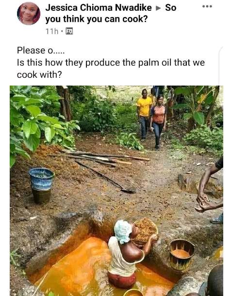 Let's Talk: "Pleas Oh, Is This How They Produce the Palm Oil We Cook?" (VIDEO)