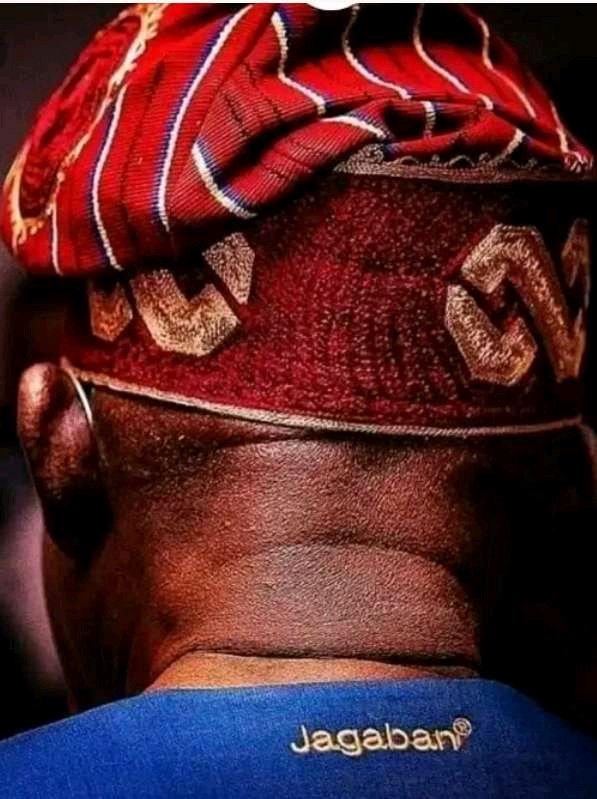 As Jonathan Prepares To Accept APC's Presidential Ticket, Jagaban Ready To Unleash The Unknown