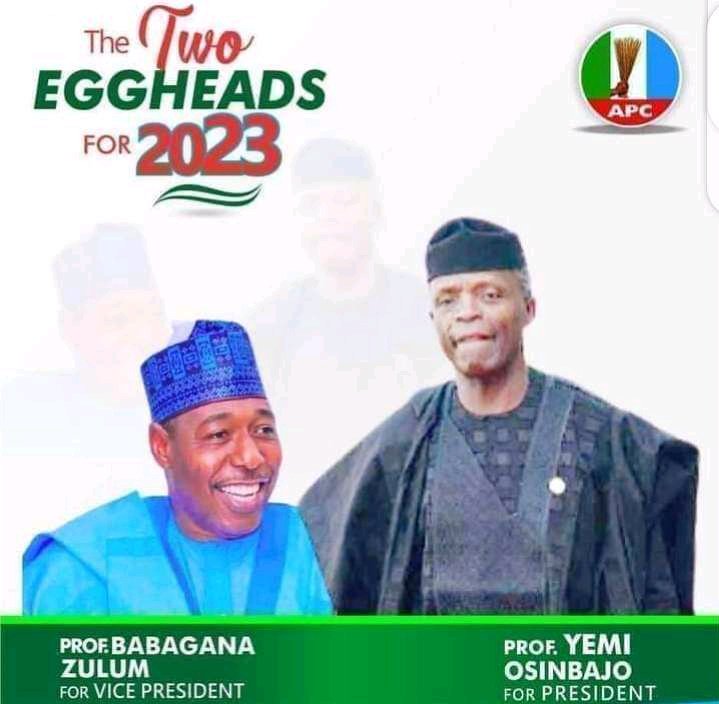 2023 Presidential Election: See the Three Potential Candidates That May Emerge APC Flag Bearers