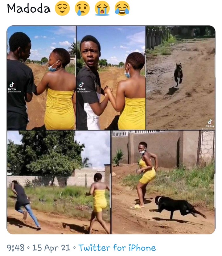 Laugh No Go Kill Me: See As Young Man Ran Away Leaving His Girlfriend To Be Attacked By A Dog 