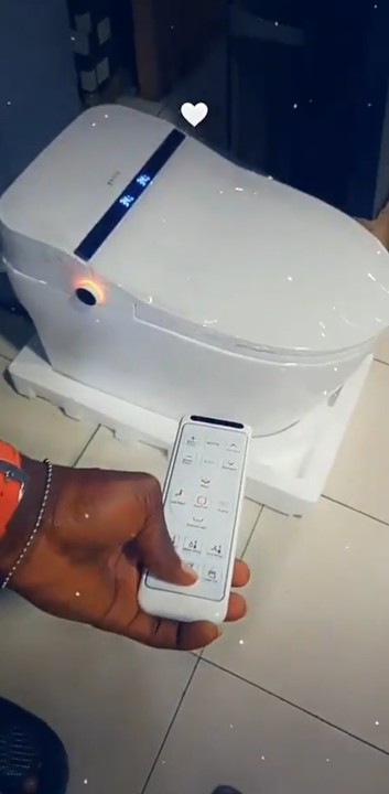 See Photos of the New Electronic Toilet WC That Cost A Whopping N350,000 