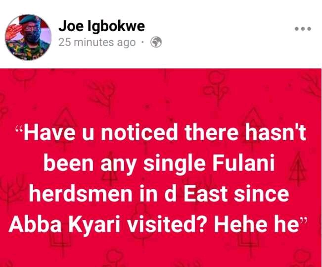 "Have you noticed there hasn't been any single Fulani herdsmen in the East since Abba Kyari visited" - Joe Igbokwe Blows Hot