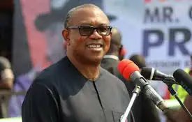 Primate Ayodele's Prophecy On Betrayal Of Peter Obi Continues To Come To Pass As Another Igbo Elder Rejects Him