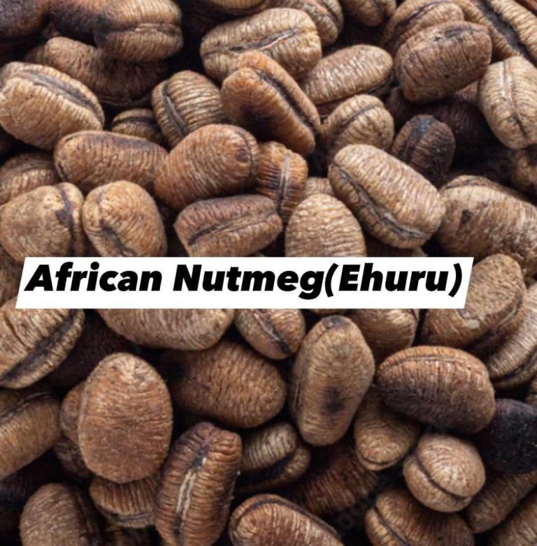 The Healing Power of African Nutmeg (Ehuru) – Natural Healer and Sperm Booster