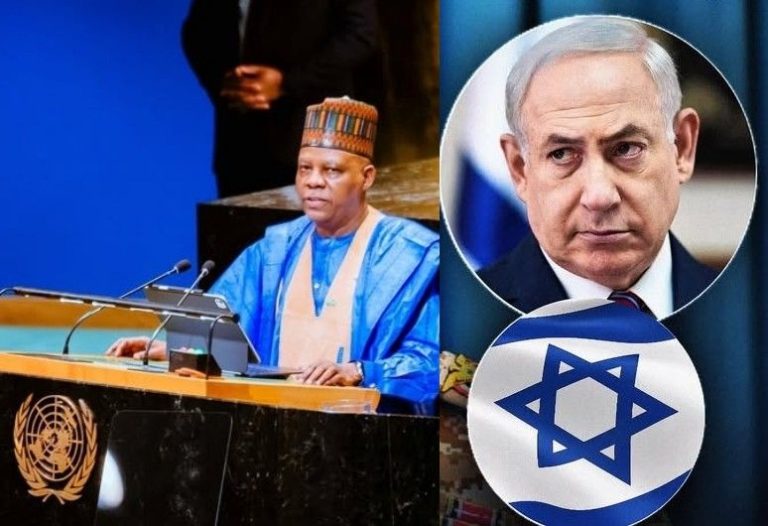 Israel-Palestine: Nigeria Backs Two-State Solution at UN Assembly – Full Statement