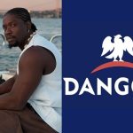 VDM Orders Ratel Members to Stand Down, Calls Off Threat to Shut Dangote’s Factory Following Tragic Death of Phyna’s Sister