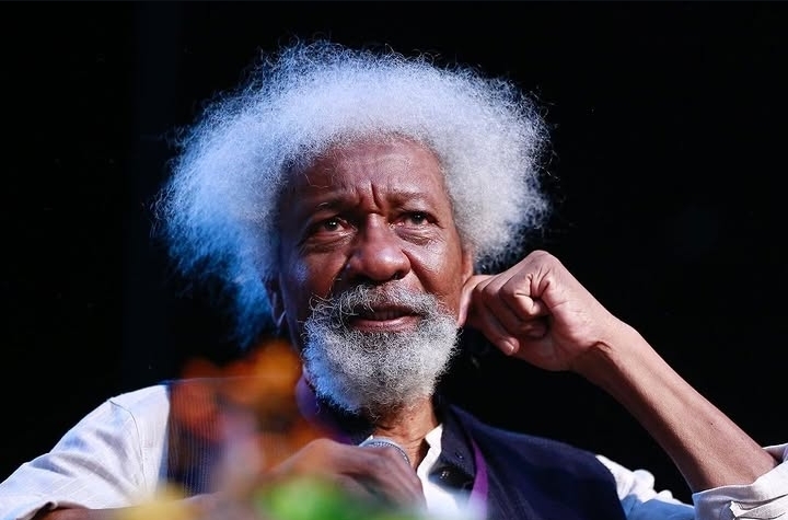 Nobel Winner Wole Soyinka Barred from US After Green Card Protest