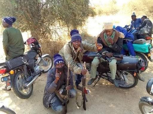 Katsina Bandits Breach Peace Accord, Attack Makera and Rawul Communities and Burn Farms