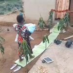 Pink Carpet and Palm Leaves: A Father’s Unique Welcome for His Family Goes Viral