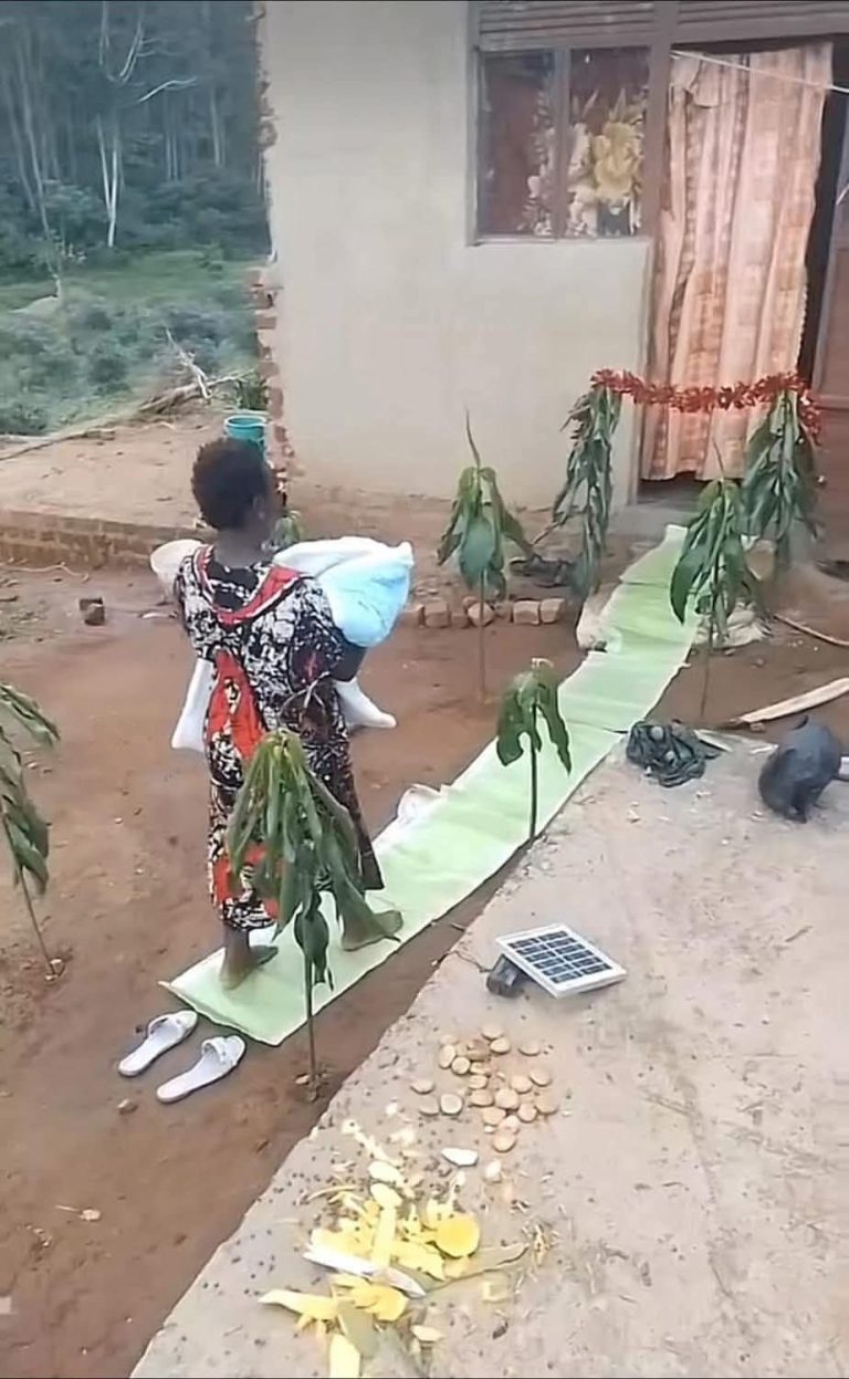 Pink Carpet and Palm Leaves: A Father’s Unique Welcome for His Family Goes Viral