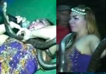 The Tragic Death of Indonesian Singer Irma Bule, Who Was Bitten by a Snake During a Live Performance