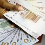 Dollar to Naira: Exchange Rate Shows Stability at Official, Parallel Markets