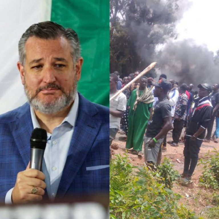 “Abolish Sharia or Face Sanctions” – U.S. Senator Ted Cruz Warns Nigerian Government