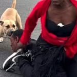 NY Man Gets Beaten by His Transgender Lover in the Street, Then His Own Dog Joins In and Bites Him