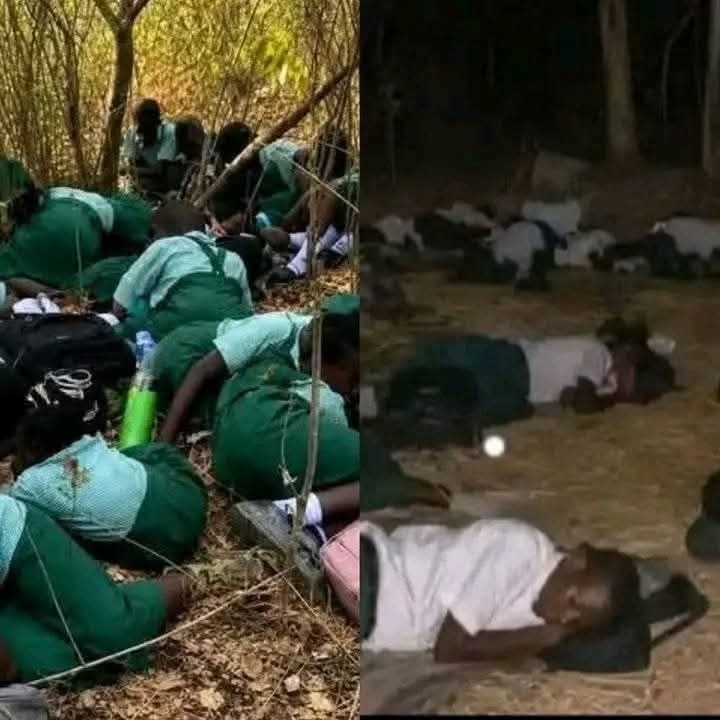 “Bring Back Our Children”: Protesters Push Into Ogun Government House as Nationwide Protest for Kidnapped School Children Grows (Video)