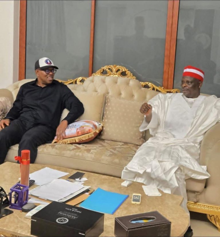 ‘I Had the Honour of Hosting My Brother Peter Obi’ – Kwankwaso on Abuja Meeting