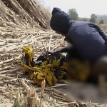 “She Was Helpless”: Kidnappers Take Turns on Female Hostage, Share Video as Nigerians React