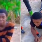 ‘They Took Turns on Me’: 15-Year-Old Girl Rescued from Bush in Imo State