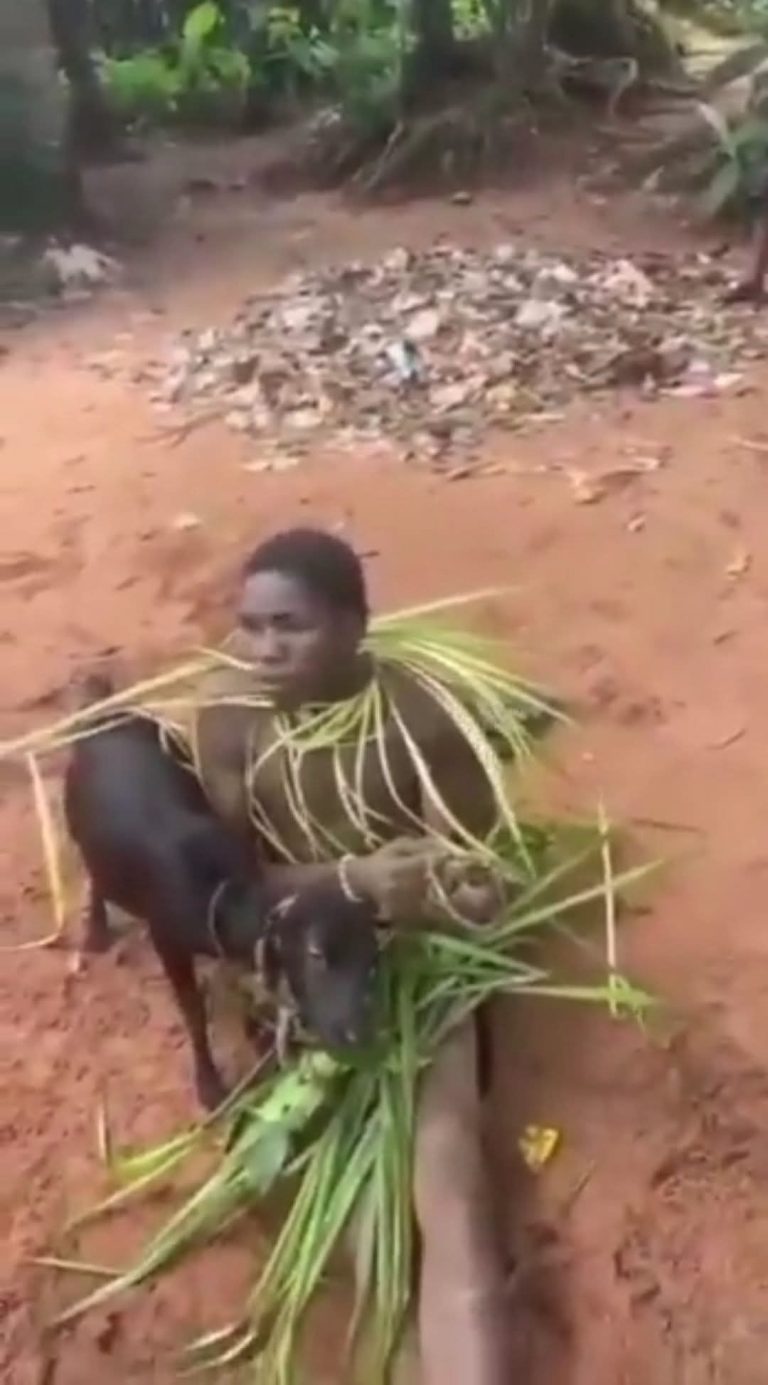 “Enugu Boy Caught in the Act with a Goat” – Teenager’s Shocking Act Throws Community Into Disbelief