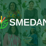 Tinubu Approves Free Business Name Registration for 250,000 MSMEs