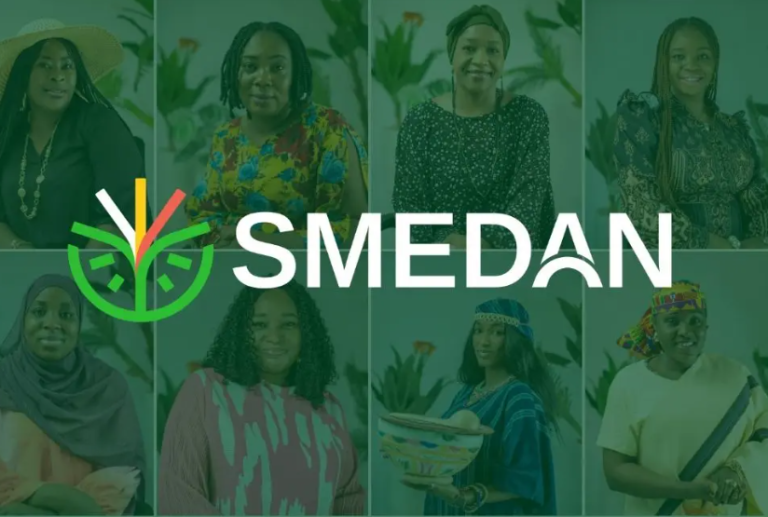 Tinubu Approves Free Business Name Registration for 250,000 MSMEs