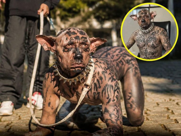 The $2.7 Million Dog: Social Media Buzzes Over Viral ‘Man to Dog’ Transformation Claim